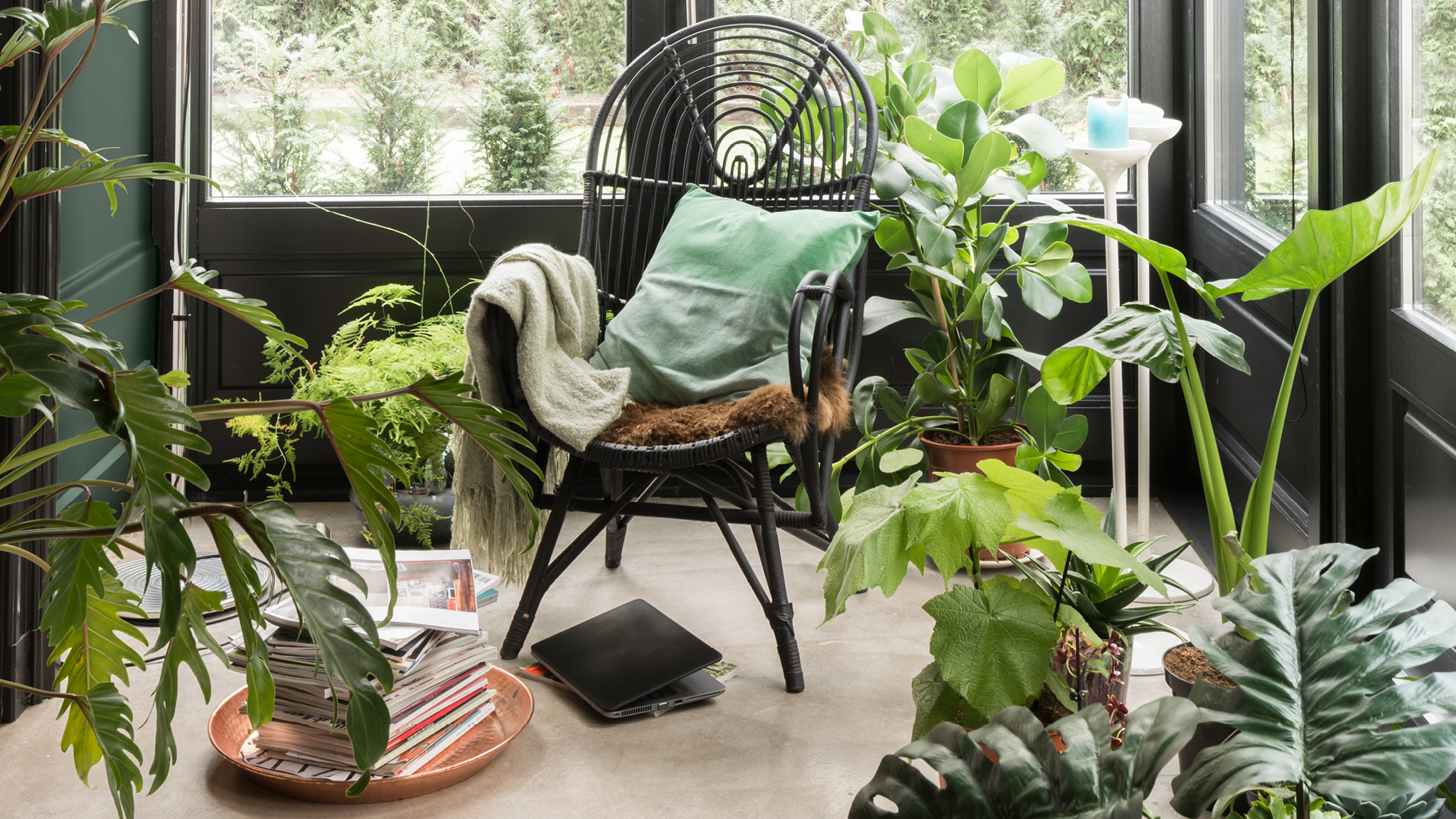 Lyst rum med planter Botaniske motiver, naturlige tekstiler og organiske materialer opbløder indendørsområder.